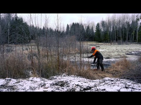 Raivaus on kosteikon hoitoa