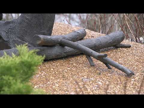 How to Look at Art - Giuseppe Penone