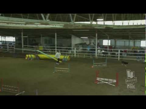 Tehya - Sat Colors Level 1 - Fun Paws CPE April 2010.mov