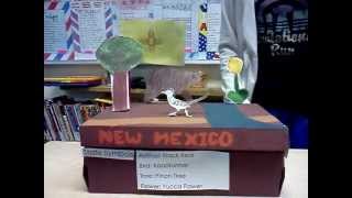 New Mexico State Float by Onion Man