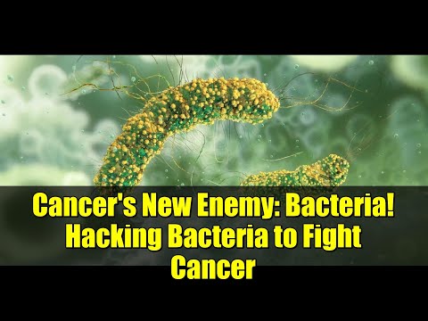 Cancer's New Enemy: Bacteria! Hacking Bacteria to Fight Cancer