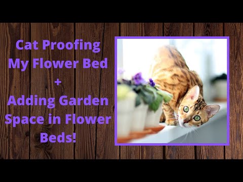 #173 Cat Proof Flower Bed - Add Garden Space in Flower Beds