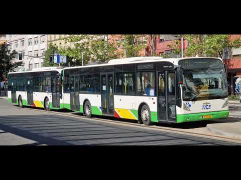 VanHool NewA330 - Tice 33 (14/05/2022)