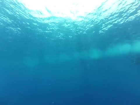 Longimanus sur BDE Brothers