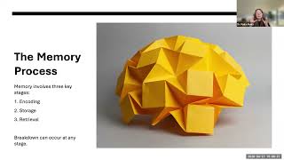 Memory Systems and Brains