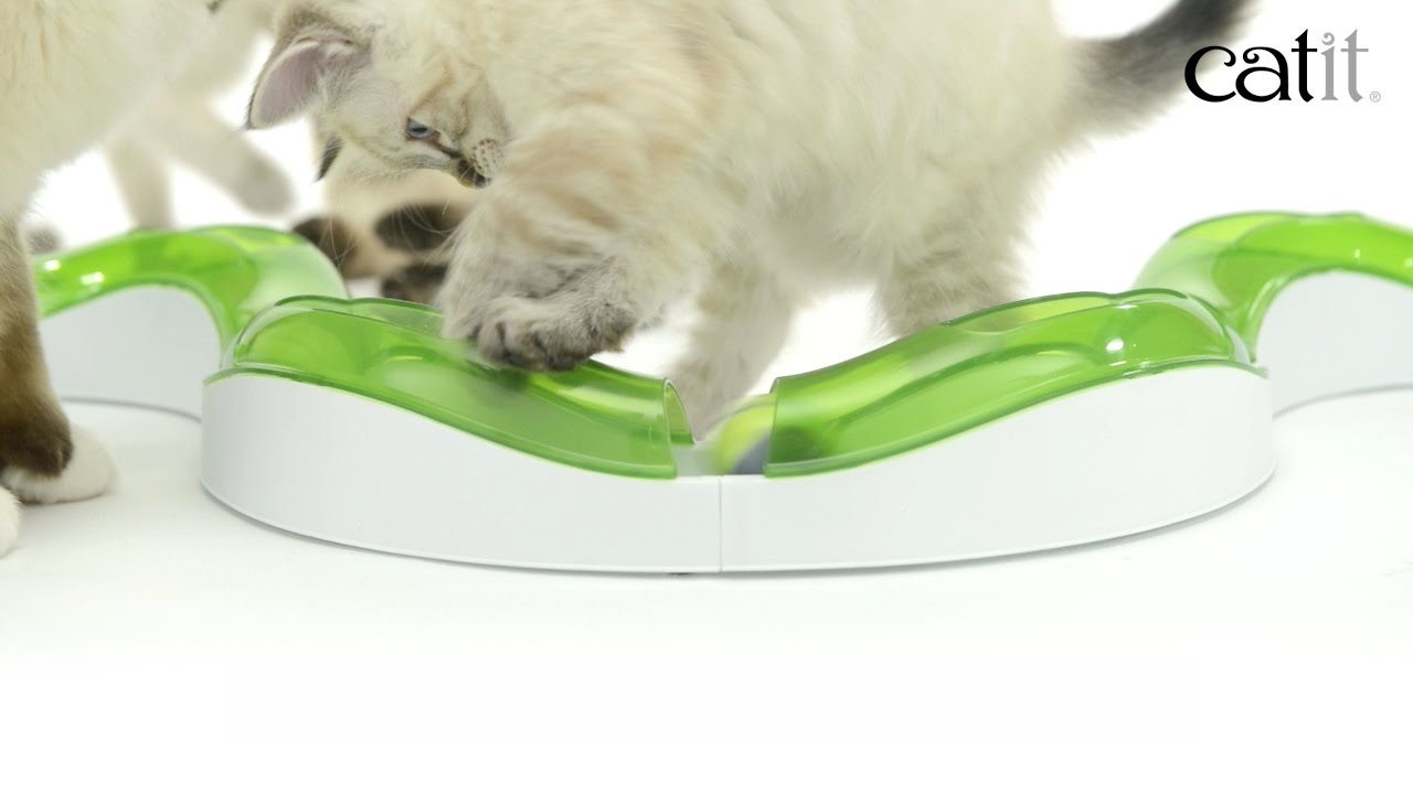 Catit Senses Wave Circuit Kedi Oyuncağı 140cm tanıtım video görseli