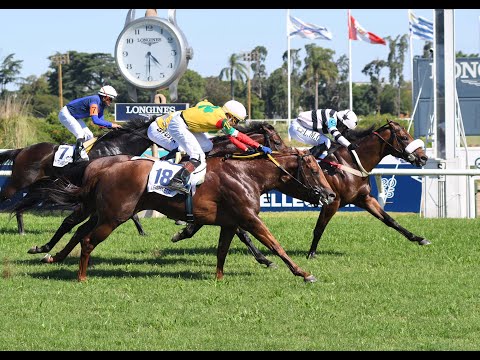 Gran Premio Félix de Alzaga Unzué (G1) 2025 - El Fortín (Il Campione)
