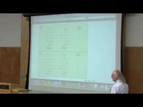 Carbohydrates - Structure and Function by Kevin Ahern, Part 1 of 6