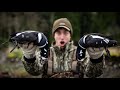 Harlequin Sea Duck Hunting in Washington State (once in a lifetime)