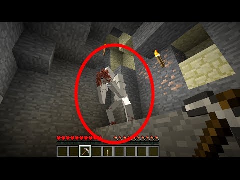We found THIS in Minecraft VANILLA?!