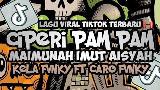 Download lagu DJ CIPERI PAM PAM || SOUND VIRAL TIKTOK 2025 KELAFVNKY FT CARO FVNKY mp3