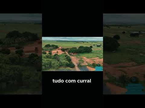 🌿 Fazenda Tailândia À Venda | Janaúba/MG | Oportunidade Única no Agro!