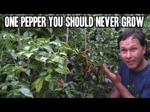 , title : 'One Pepper You Should Never Grow in Your Home Garden'