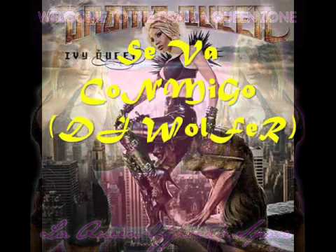 Carlos Arroyo Ft Yomo & Ivy Queen - Se Va Conmigo (DJ WoLFeR)