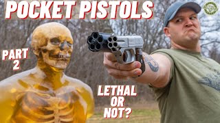 How Lethal Are Pocket Pistols ??? (Part 2)