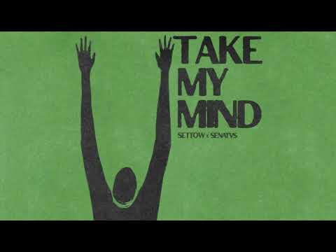 Take My Mind - WizTheMc, bees & honey (SETTOW & SENATVS Remix)