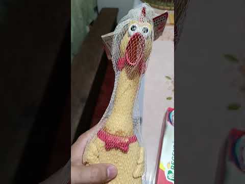Manok na Dilaw #shortsvideo #viralvideo #viralshorts #shortsvideo #shorts #shortsviral