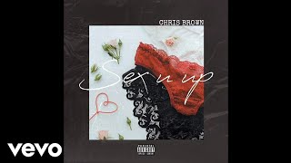 Chris Brown - Sex You Up (Audio)