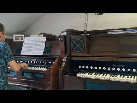 Emma Louise Ashford (1850 - 1930) - "Barcarolle" fisharmonia Mannborg Harmonium / Reed Organ.