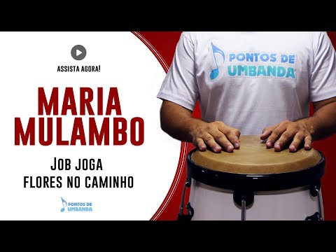 Capa do vídeo: Job joga flores no caminho