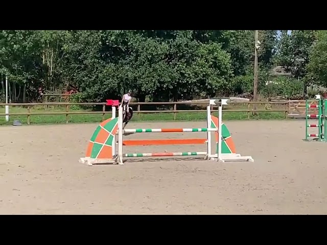 Jument Z de 9 ans