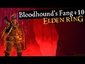 Bloodhound Fang Max Level Elden Ring