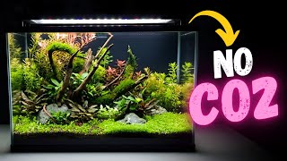 Build a Stable Planted Tank (No Expensive Soil)
