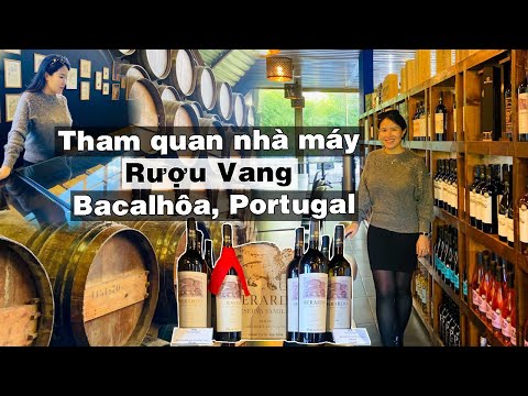 Bacalhôa - Vinhos de Portugal NHÀ MÁY RƯỢU VANG LỚN NHẤT BỒ ĐÀO NHA