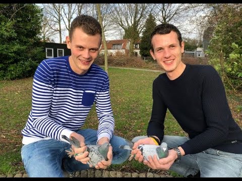 Video Presentatie op Voorjaarsbeurs Houten veiling Gebroeders Dekker, Terneuzen.