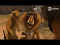 Finding Simba Part 12 Vlad Vladikoff Attacks