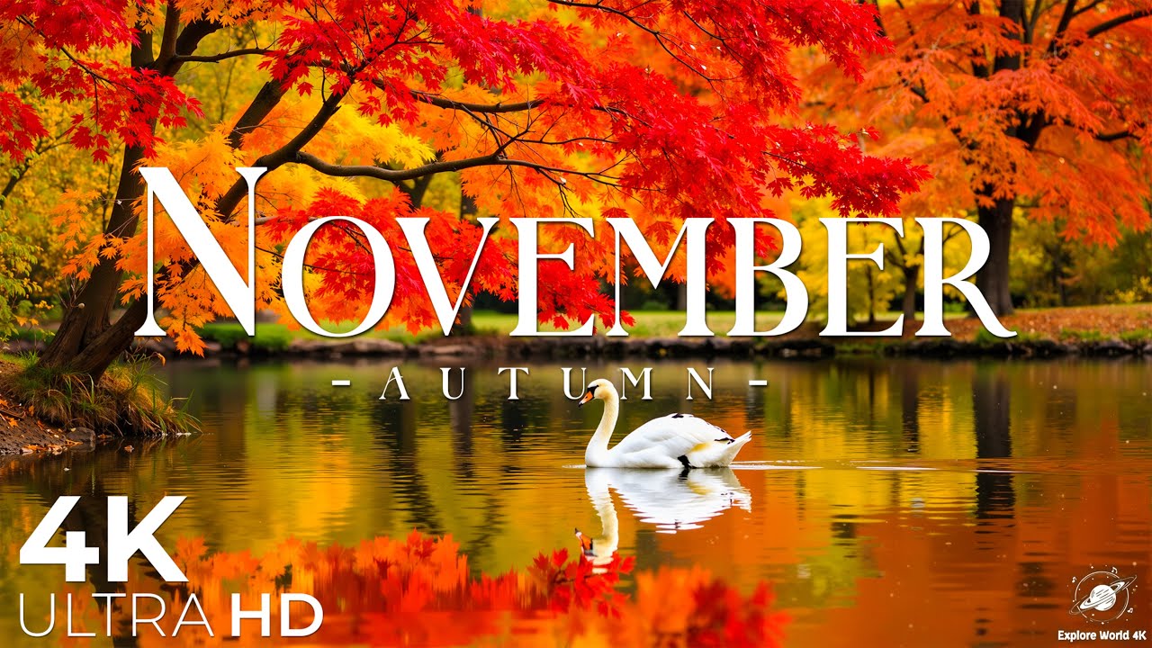 4K Beautiful Autumn in November 🍁 Peaceful Fall Landscapes with Vibrant Colors & Relaxing Music