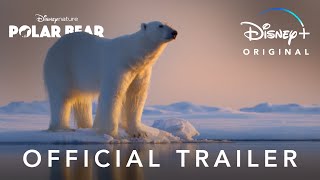 Official Trailer | Disneynature’s Polar Bear | Disney+ Trailer