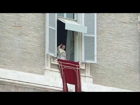 Angelus du 14 juin 2015