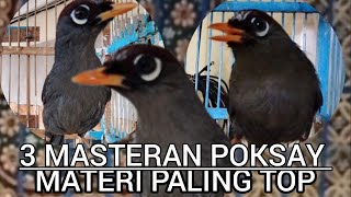 Download lagu Poksay Mandarin Kombinasi 3 Masteran Sekaligus, Paling Cocok Buat Mikat, materi Paling mewah mp3 Download lagu Poksay Mandarin Kombinasi 3 Masteran Sekaligus, Paling Cocok Buat Mikat, materi Paling mewah mp3