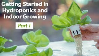 Getting Started Hydroponics