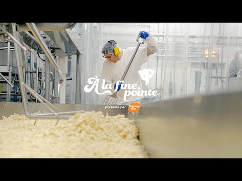 À la fine pointe - Fromagerie L'Ancêtre