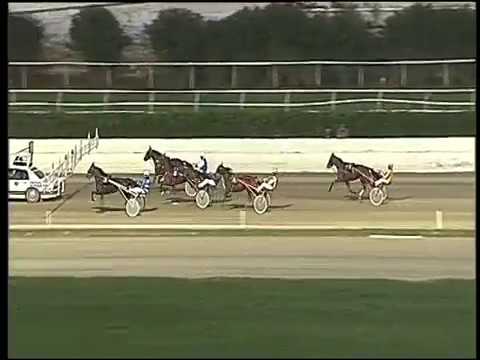 Trotto 28/10/2016 - 1ª prova di qualifica