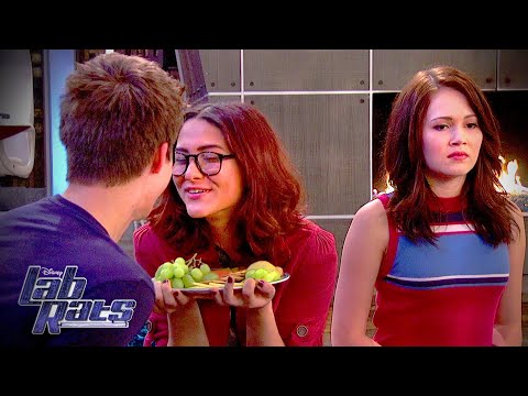 Chase Gets a Girlfriend | Lab Rats | Disney XD