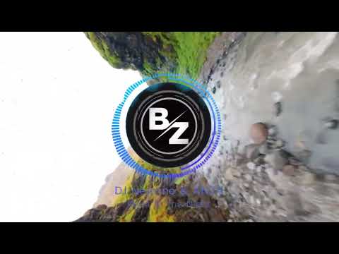 Dj Nejtrino & Anza Rhythm the Night