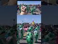 FROG RESISTANCE TO MAGA REMAINS UNDEFEATED