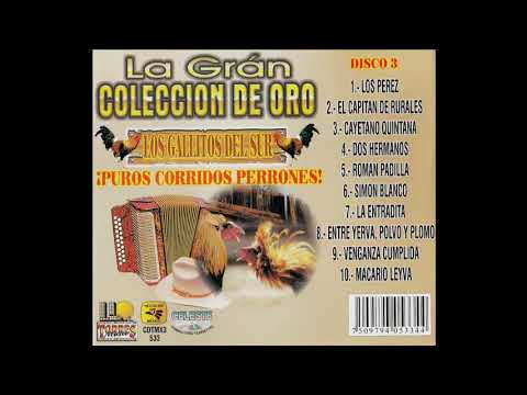 LOS GALLITOS DEL SUR - LA GRAN COLECCION DE ORO