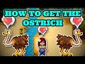 Stardew Valley 1.5 | How to get the ostrich Full Tutorial