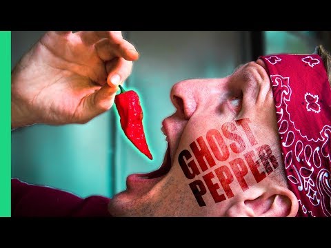 Spicy Indian Food Challenge! GHOST PEPPER Chutney and the SPICIEST Street Food in Delhi, India!