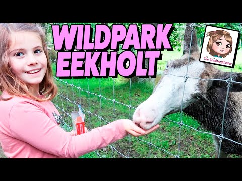 ADVENTURES at WILDPARK EEkholt 🐐🐑 and NEW CLOUDEES! ☁️☁️☁️ The Toy Testers