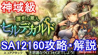 【スコアアタック神域級】ヒルデガルドSA12160攻略・解説【ミトラスフィア】