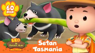 Download lagu Hati-hati! Setan Tasmania memiliki gigitan yang kuat! | Leo Si Penjaga Alam | Kartun Edukasi Anak mp3