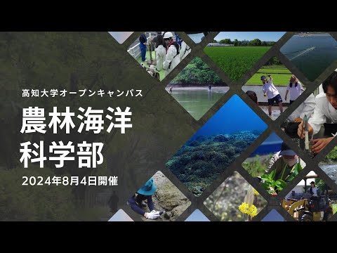 オープンキャンパス（ダイジェスト）