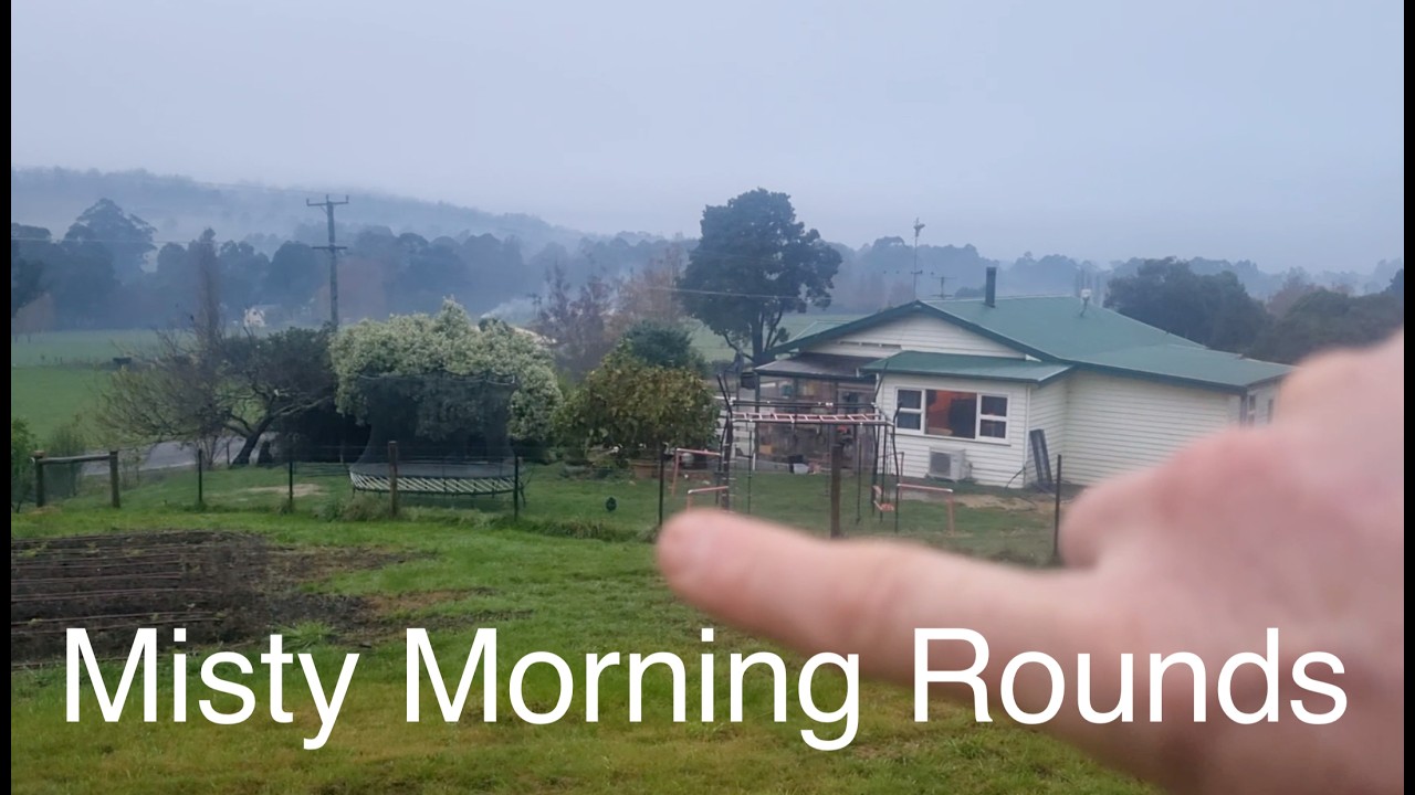 Still from Growing Our Way video 3, misty morning routine on the homestead