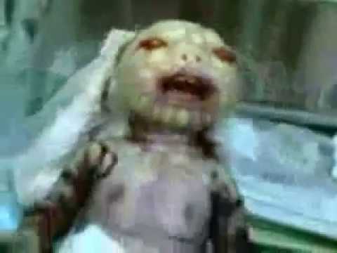 Real Reptilian Baby Born Masters of DNA for life
