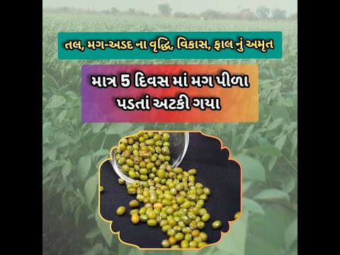 5L Plant Growth Promoters